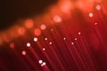 Red fiber optic background. Royalty Free Stock Photo