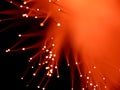 Red fiber optics Royalty Free Stock Photo