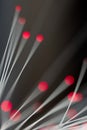 Red fibre optic filaments, abstract. Royalty Free Stock Photo