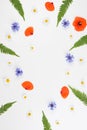 Red field poppies, daisies, cornflowers and green leaves frame on white background. Royalty Free Stock Photo