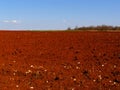 Red fields countryside