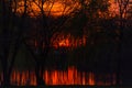 Red fiery sunset on pictorial landscape with trees that are reflected in river under boundless red evening sky