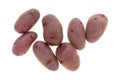 Red fingerling potatoes on a white background Royalty Free Stock Photo