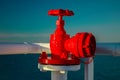 Red fire cock, fireplug on a ship