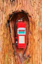 Red fire extinguisher in the tree Royalty Free Stock Photo