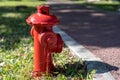 Red Fire Fighting on the Grassland Fire Hydrant Royalty Free Stock Photo