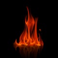 Red Fire Flame Bonfire Isolated on Background