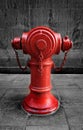 Red Fire Hydrant Royalty Free Stock Photo