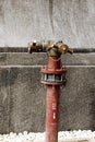 Red Fire Hydrant Royalty Free Stock Photo