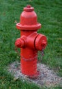 Red Fire Hydrant Royalty Free Stock Photo