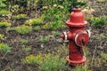 A red fire hydrant