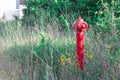 A red fire hydrant against a green lawn, bushes background. Royalty Free Stock Photo