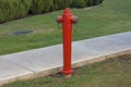 Red fire hydrant against green lawn photo