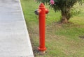 Red fire hydrant against a green lawn Royalty Free Stock Photo