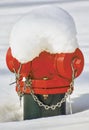 Red Fire Hydrant Covered in Snow Royalty Free Stock Photo