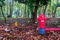 Red fire hydrant in city park. Cityscape Royalty Free Stock Photo
