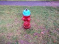 A red fire hydrant, faucet or fire hydrant, a water intake to provide a flow rate in the event of a fire. Water can be obtained fr