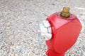 Red fire hydrant or fireplug connection for firefighters in public road for water supply