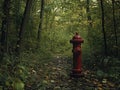 Red Fire Hydrant in Forest Royalty Free Stock Photo