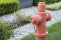 red fire hydrant on green grass Royalty Free Stock Photo