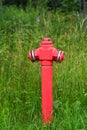 red fire hydrant in the green grass in the park. vertical Royalty Free Stock Photo