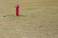Red fire hydrant on a green lawn Royalty Free Stock Photo