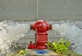 Red Fire Hydrant Gushing Water Royalty Free Stock Photo
