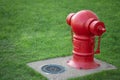 The red fire hydrant is located in a public lawn Royalty Free Stock Photo