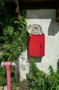 Red fire hydrant is next to a green bush Royalty Free Stock Photo