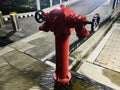 Red fire hydrant in a park way unique photo Royalty Free Stock Photo