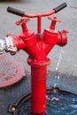 Red fire hydrant