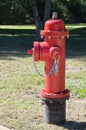 Red fire hydrant water supply fireplug on lawn. Royalty Free Stock Photo