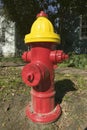 A red fire hydrant with a yellow top is seen roadside in New England Royalty Free Stock Photo