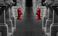 Red Fire Hydrants in Long Passageway Passage Way Stones Royalty Free Stock Photo