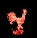 Red fire rooster, symbol of new 2017 year. Photo collage of red flame, on black background.