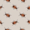 Red firebugs geometric seamless pattern in cartoon vintage style. Look other insects from the collection