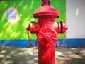 Red fireplug standing before the green wall