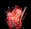 Red fireworks display black night sky background isolated close up, bright red firecracker burst pattern, red salute explosion Royalty Free Stock Photo