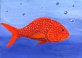 Red fish Royalty Free Stock Photo