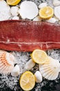 Red fish fillet with lemon, shells and pebbles on ice Royalty Free Stock Photo