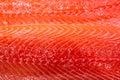 Red fish fillet meat close-up. Trout or salmon, texture and macro photo.