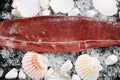 Red fish fillet with shells and pebbles on ice