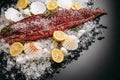 Red fish fillet sprinkled with salt and spices with lemon, shells and pebbles on ice Royalty Free Stock Photo