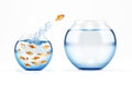 Red fish jumps from a full of fishes cruet to an empty and bigger one. concept of escape from crowd