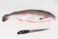 Red fish and knife lie on a white cutting board Royalty Free Stock Photo