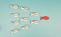 Red fish is the leader of the group, working as a team for new ideas, goals, making plans and strategies for success, teamwork Royalty Free Stock Photo