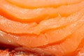 Red fish macro. smoked salmon. seafood close up