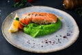 Red fish piece with green pea puree Royalty Free Stock Photo