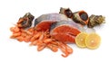 Red fish and prawns with rapans Royalty Free Stock Photo