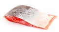 Red fish with squama isolated